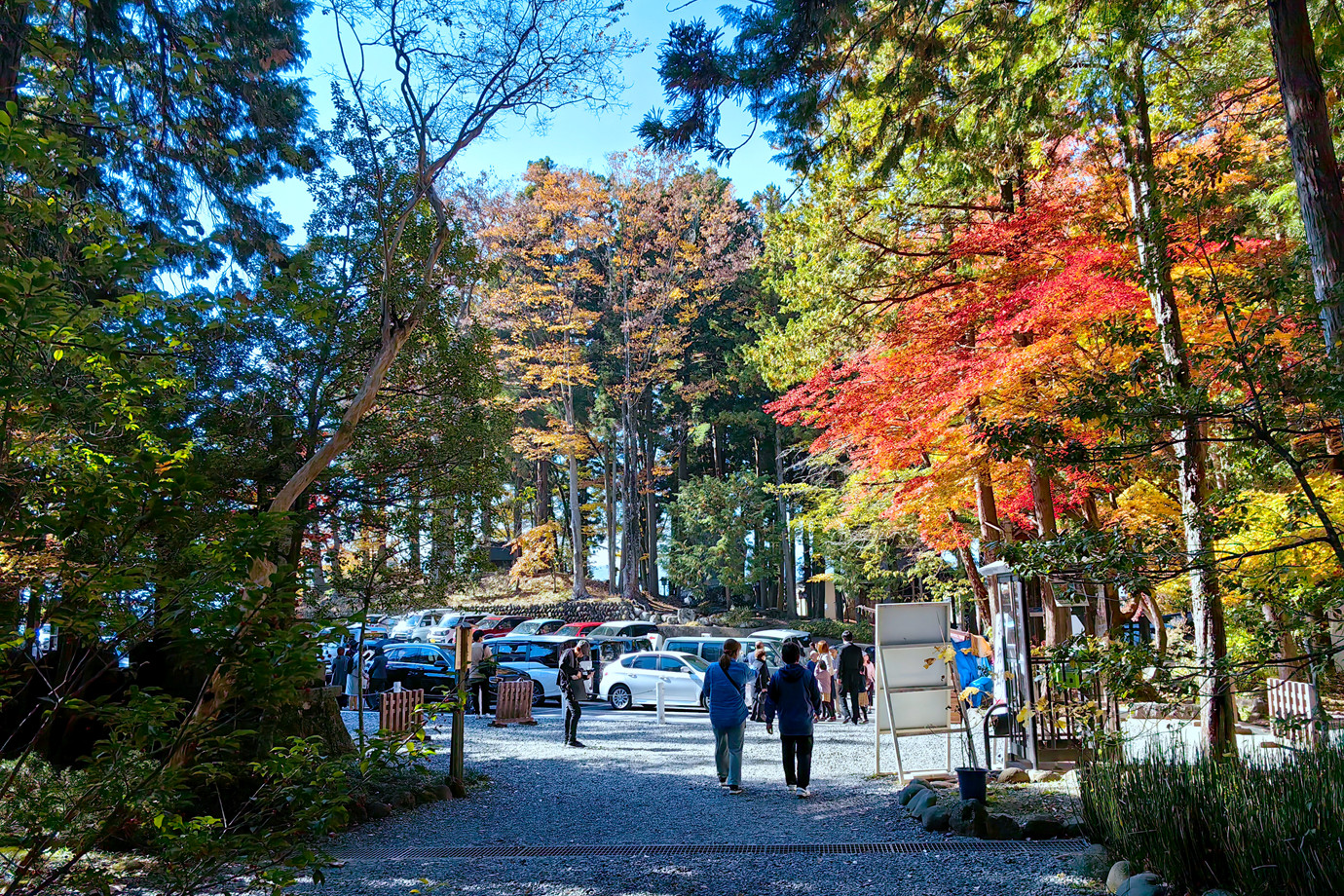 長野-信濃國一之宮.諏訪大社.下社秋宮